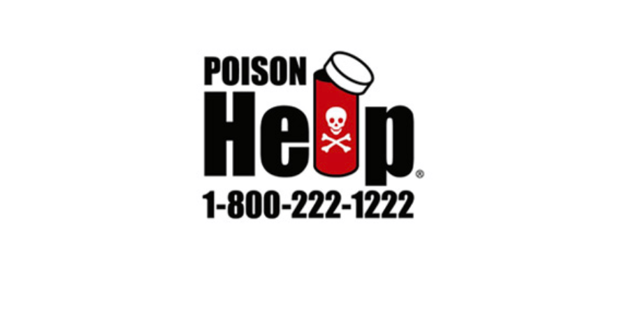 Website Cards - Emergency Preparedness (4)